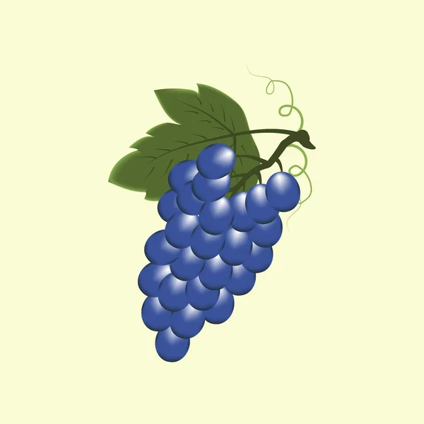 Icône de fruit de raisin — Image vectorielle