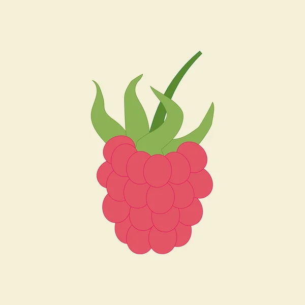 Icône aux framboises — Image vectorielle