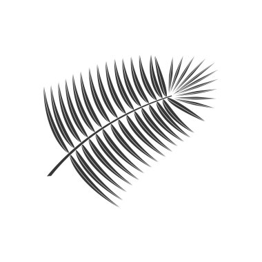 Hindistan cevizi yaprak simgesi