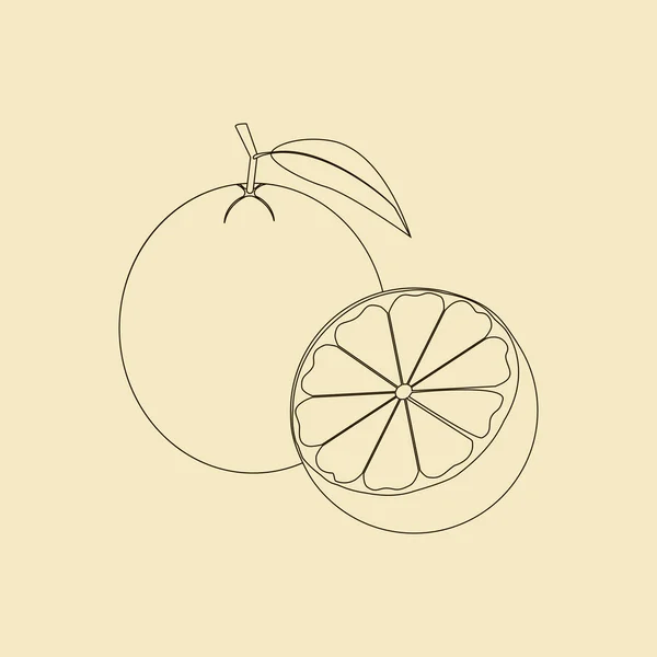 Oranje fruit icoon — Stockvector