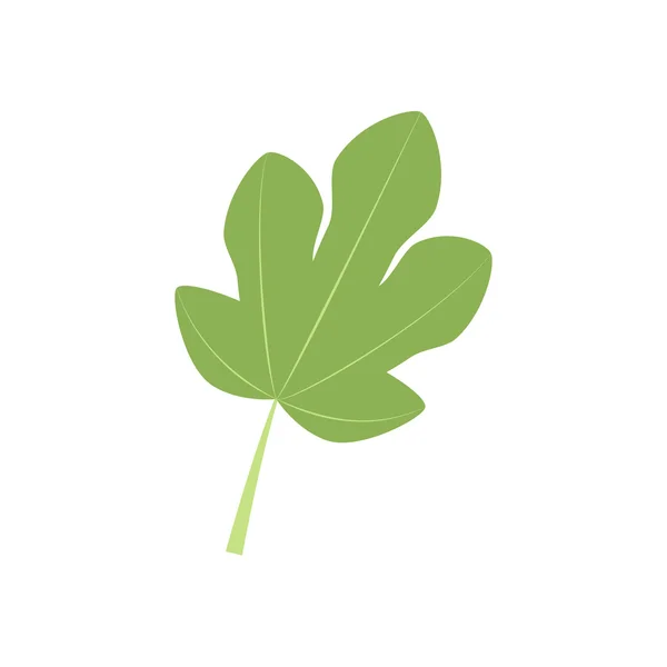 Icono de hoja de higo — Vector de stock