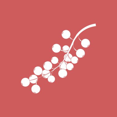 Siyah frenk üzümü berry simgesi