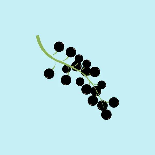 黑穗醋栗浆果图标 — 图库矢量图片