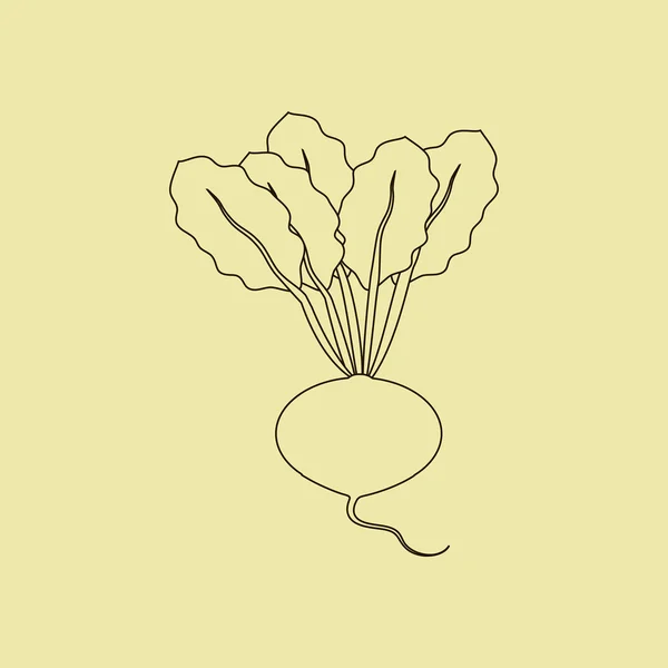 Icona della barbabietola vegetale — Vettoriale Stock