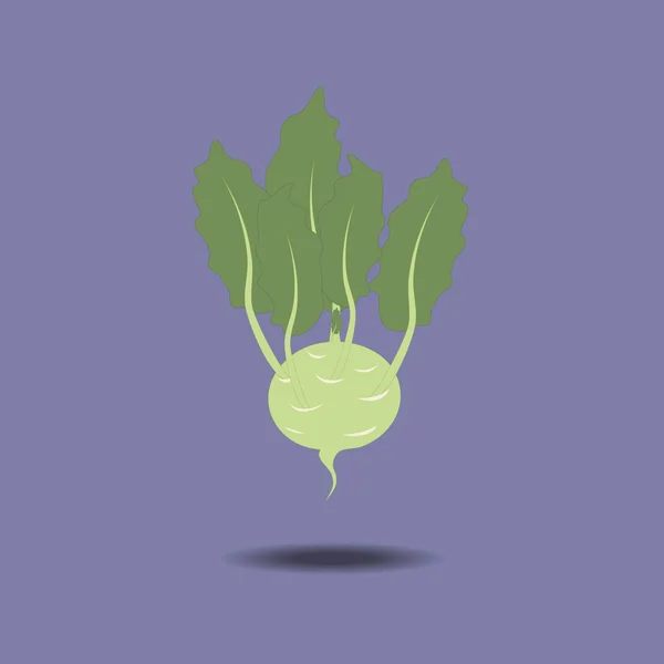 大头菜蔬菜图标 — 图库矢量图片