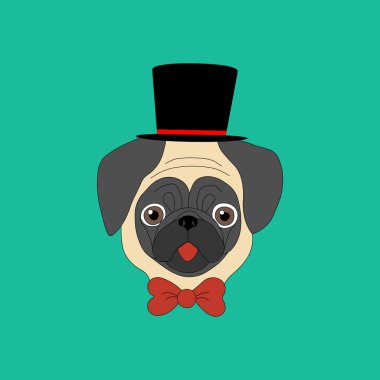 Şapka ang yay çizimde pug