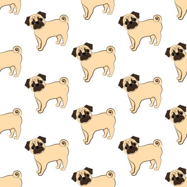 Beyaz arka planda pug dog deseni var. Vektör illüstrasyonu