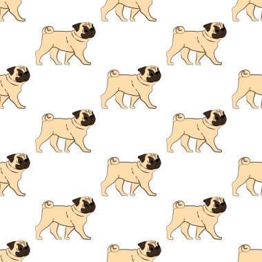 Beyaz arka planda pug dog deseni var. Vektör illüstrasyonu