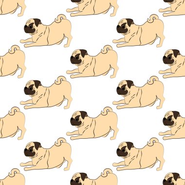 Beyaz arka planda pug dog deseni var. Vektör illüstrasyonu