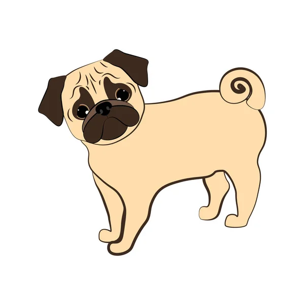 Beyaz Arka Planda Pug Dog Vektör Çizimi Vektör Illüstrasyonu — Stok Vektör