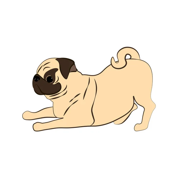 Beyaz Arka Planda Pug Dog Vektör Çizimi Vektör Illüstrasyonu — Stok Vektör