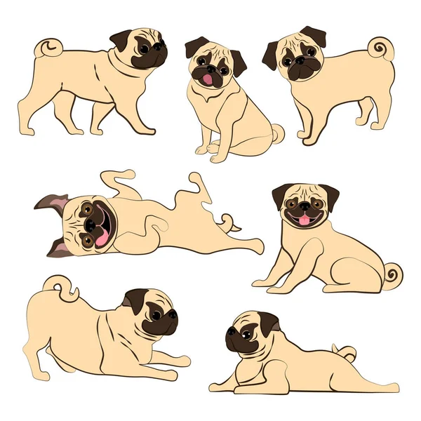 Mops Hund Vektor Illustration Auf Dem Weißen Hintergrund Vektorillustration — Stockvektor