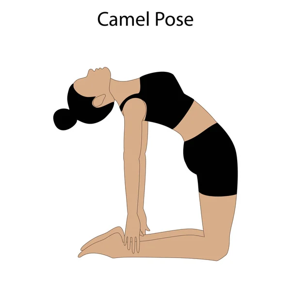 Camel Pose Yoga Workout Auf Weißem Hintergrund Vektorillustration — Stockvektor
