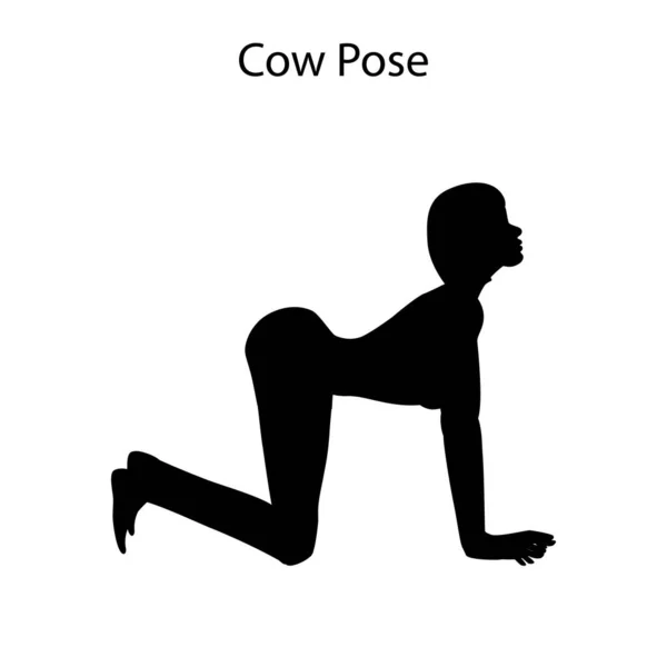 Auf Weißem Hintergrund Posieren Kühe Mit Yoga Workout Silhouette Vektorillustration — Stockvektor