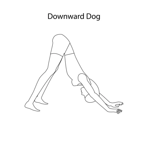 Downward Σκυλί Γιόγκα Περίγραμμα Προπόνηση Στο Λευκό Φόντο Εικονογράφηση Διανύσματος — Διανυσματικό Αρχείο