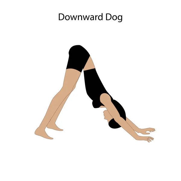 Dog Yoga Workout Silhouette Nach Unten Auf Weißem Hintergrund Vektorillustration — Stockvektor