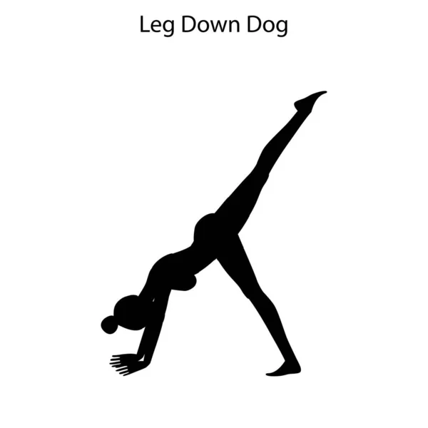 Auf Weißem Hintergrund Posiert Der Hund Mit Den Beinen Yoga — Stockvektor