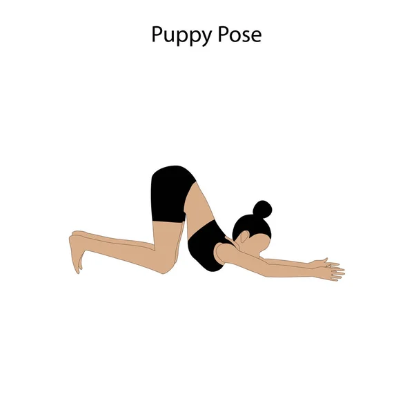 Puppy Posa Allenamento Yoga Sullo Sfondo Bianco Illustrazione Vettoriale — Vettoriale Stock