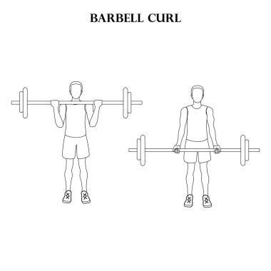 Barbell curl workout exercise vector illustration outline on the white background. Vector illustration