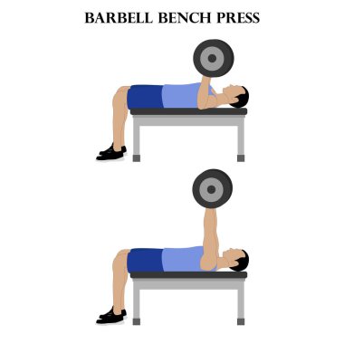 Barbell bench press vector illustration on the white background.