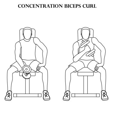 Beyaz arkaplan üzerinde konsantrasyon biceps curl vektör illüstrasyon ana hatları.