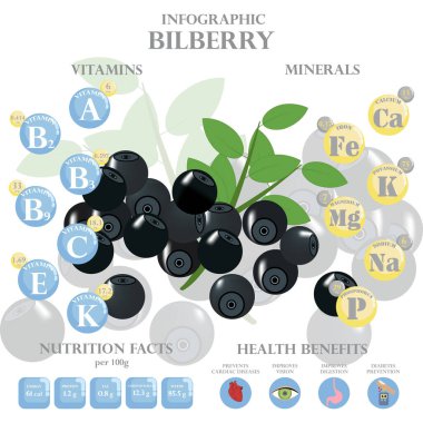 Böğürtlenli besinler hakkında bilgi. Yabanmersini, vitamin, böğürtlen, sağlıklı yiyecek, besin, diyet. Vitamin ve mineraller. Yaban mersininin sağlık faydaları.