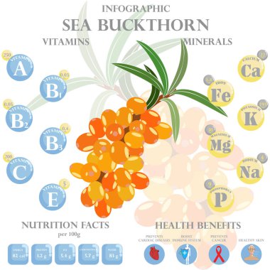 Deniz dikenindeki besinler hakkında bilgi. Deniz dikenlerinin, vitaminlerin, böğürtlenlerin, sağlıklı gıdaların, besinlerin, diyetin vektör çizimi. Vitamin ve mineraller. Deniz dikeninin sağlık faydaları.