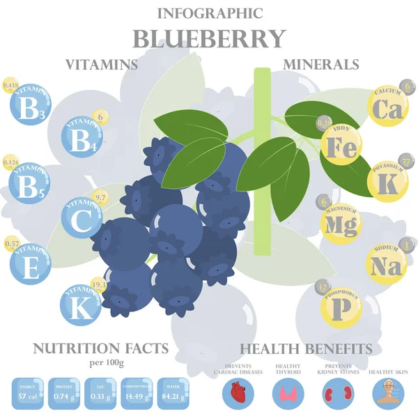 ブルーベリーの栄養素に関するインフォグラフィック ブルーベリー ビタミン ベリー 健康食品 食事療法のベクトルイラスト ビタミンやミネラル ブルーベリーの健康上の利点 — ストックベクタ