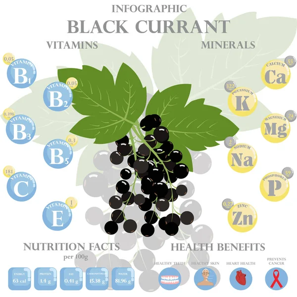 黒スグリの栄養素についてのインフォグラフィック 黒スグリ ビタミン ベリー 健康食品 食事療法のベクトルイラスト ビタミンやミネラル 黒スグリの健康上の利点 — ストックベクタ