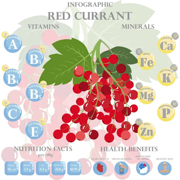 Frenk üzümündeki besinler hakkında bilgi. Frenk üzümü, vitamin, böğürtlen, sağlıklı yiyecek, besin, diyet. Vitamin ve mineraller. Frenk üzümünün sağlık yararları.