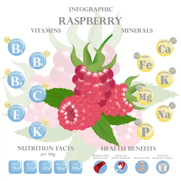 Infografik Über Nährstoffe Himbeeren Vektorillustration Von Himbeeren Vitaminen Beeren Gesunder — Stockvektor