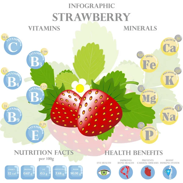 Infografía Sobre Los Nutrientes Fresa Ilustración Vectorial Fresas Vitaminas Bayas — Vector de stock