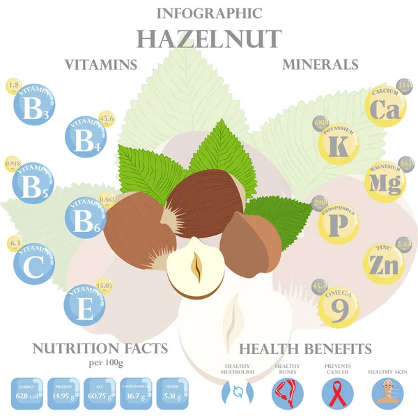 ヘーゼルナッツの栄養素に関するインフォグラフィック ヘーゼルナッツ ビタミン ナッツ 健康食品 食事療法のベクトルイラスト ビタミンやミネラル ヘーゼルナッツの健康上の利点 — ストックベクタ