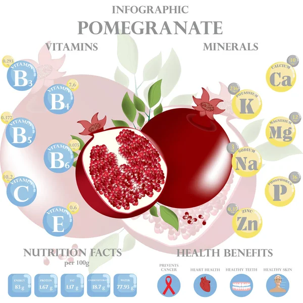 Infografik Über Nährstoffe Granatapfel Vektorillustration Von Granatapfel Vitaminen Früchten Gesunder — Stockvektor