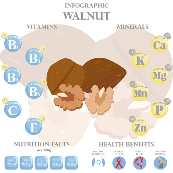 Infographic Για Θρεπτικά Συστατικά Στο Καρύδι Διάνυσμα Απεικόνιση Καρυδιού Βιταμινών — Διανυσματικό Αρχείο
