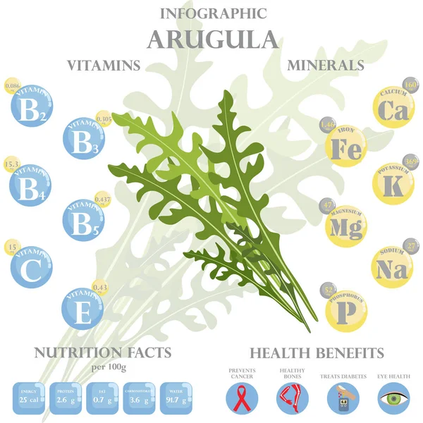 Arugula栄養の事実と健康上の利点インフォグラフィック アルグラの健康上の利点 — ストックベクタ