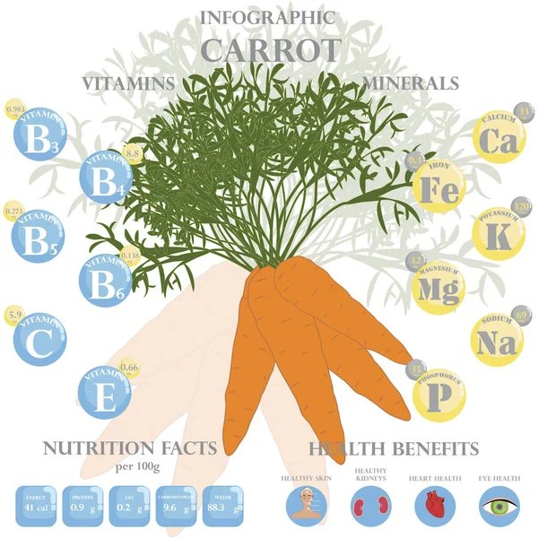 胡萝卜的营养事实和健康对信息学有益 胡萝卜对健康的好处 — 图库矢量图片