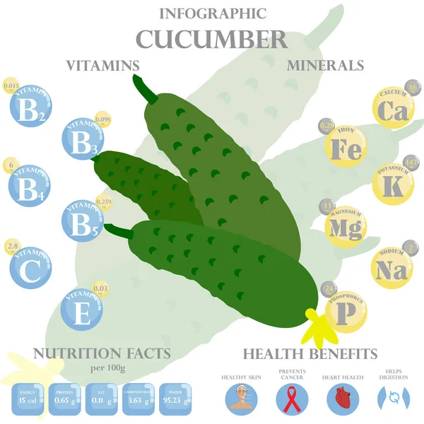 Ogórkowe Fakty Żywieniowe Korzyści Zdrowotne Infografiki Korzyści Zdrowotne Ogórka — Wektor stockowy