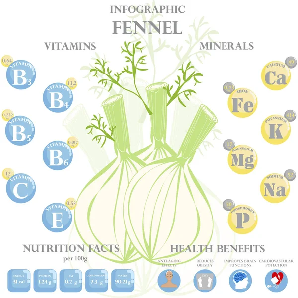 Fennel Fakty Żywieniowe Korzyści Zdrowotne Infografiki Korzyści Zdrowotne Kopru Włoskiego — Wektor stockowy
