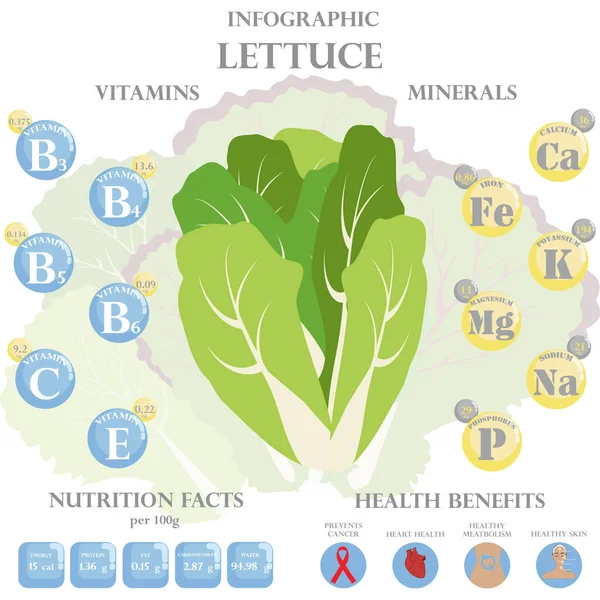 Fakty Żywieniowe Sałaty Korzyści Zdrowotne Infografiki Korzyści Zdrowotne Wynikające Sałaty — Wektor stockowy