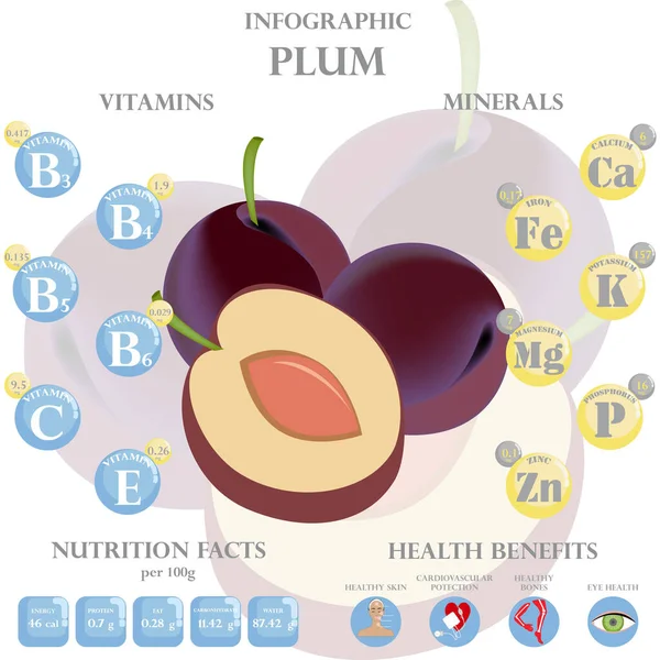 Szilva Táplálkozás Tények Egészségügyi Ellátások Infographic Szilva Egészségügyi Előnyei — Stock Vector