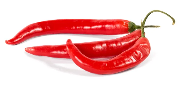 Червоний гарячий перець чилі на білому тлі — стокове фото