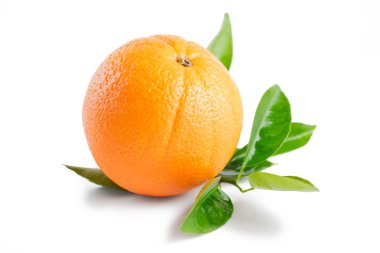 turuncu yapraklar beyaz arkaplanda izole edilmiş