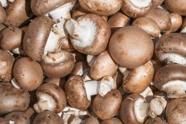 Bütün mantar champignon arka plan