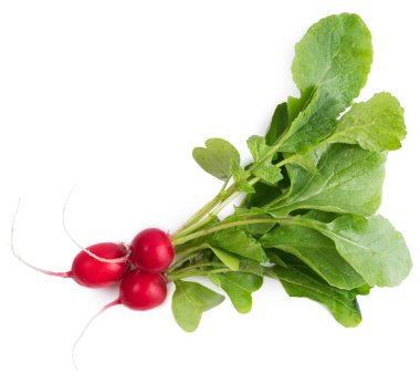 Beyaz arkaplanda taze turp izole edildi