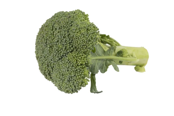 Arbusto en forma de corazón — Fotos de Stock © Satura_ #78704528