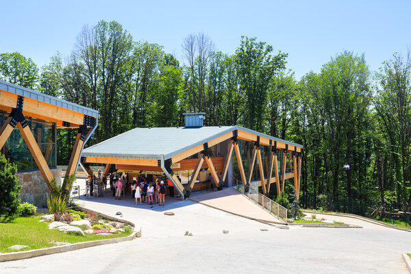 SKYPARK AJ Hackett Sochi - вход в самый длинный подвесной пешеходный мост
