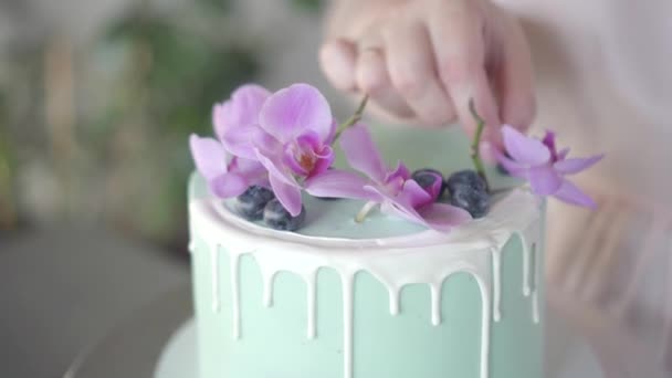 Suikerbakker versiert netjes turquoise bruidstaart met bosbessen — Stockvideo