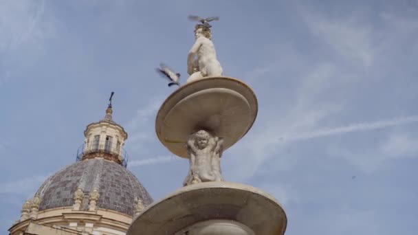 Vogelfliege trinkt aus dem prätorianischen Brunnen, Kirche der Heiligen Katharina von Alexandria — Stockvideo