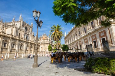 Kule Giralda Katedrali'nin Seville, Andalusia